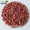 Raw four red skin peanuts for sale